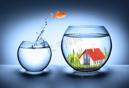 鱼找房子的房地产概念