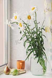 窗台上大 chamomiles 的花束