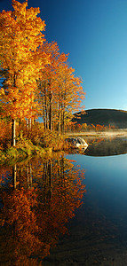 在佛蒙特州的威诺娜湖的华丽日出放火烧秋天树木与美丽的红色和橙色色调，作为完全和平水域内湖雾上升.