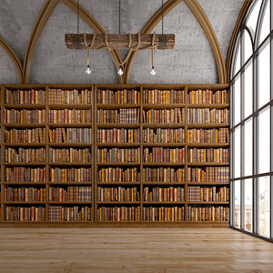 书封面摄影照片_图书馆里有拱形窗户和天花板灯的旧书架。经典风格。 3D渲染
