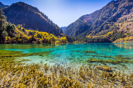 负面清单列表设计摄影照片_九寨沟谷风景名胜区