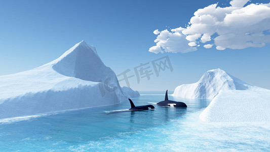 冰山摄影照片_鲸鱼游泳在海洋和冰山