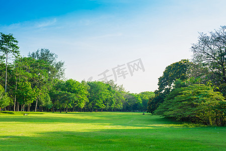 夏天植物植物摄影照片_在公园和娱乐场所