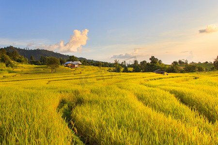 在清迈省，泰国湄果酱村水稻梯田的夕阳