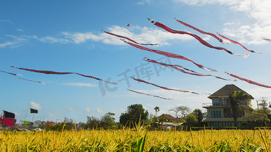 风筝传统摄影照片_巨大的风筝在蓝蓝的天空中长款条纹的尾巴