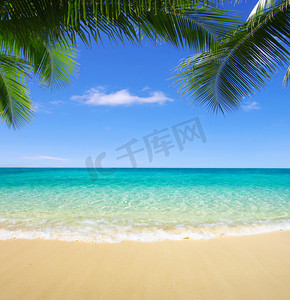 paraiso摄影照片_海滩和热带海