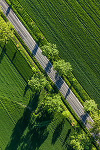 夏天农田风景村道和绿色收获领域的鸟瞰图 