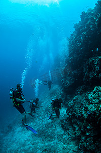 吉利，龙目岛，努沙登加拉巴拉，印度尼西亚水下照片墙潜水员与米诺