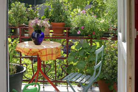 阳台种养摄影照片_有花和植物的阳台
