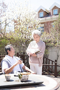 老年夫妇在庭院看书
