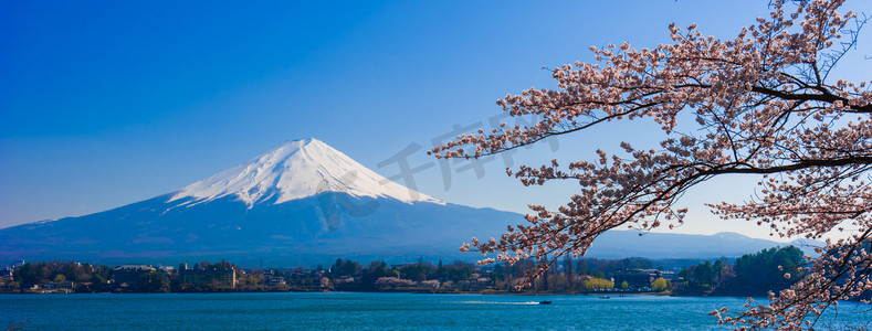 富士山，富士山查看从河口湖，日本与雪儿