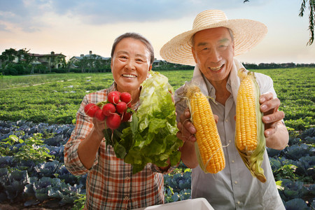 萝卜图片摄影照片_农民夫妇展示农产品
