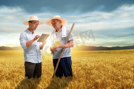 科研人员和农民交流技术