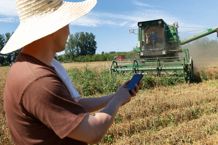 现代化农民摄影照片_农民站在麦田里使用手机