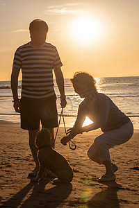 老年狗摄影照片_老年夫妇带着宠物狗在海边散步