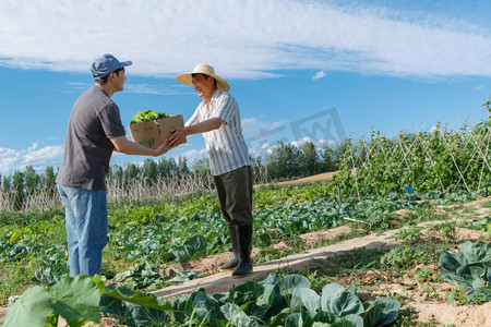 抱着蔬菜摄影照片_农民将蔬菜交给快递员