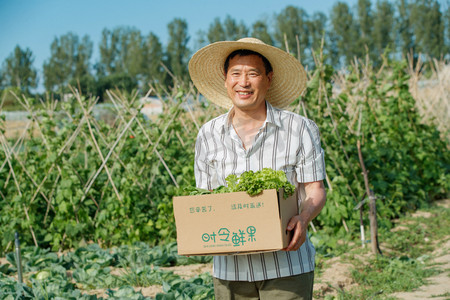 促销贴片摄影照片_农民拿着一箱蔬菜