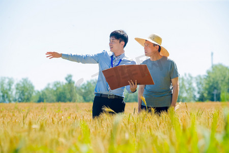 讲解摄影照片_科研人员和农民在麦田里交流技术