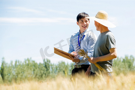 讲解摄影照片_科研人员和农民在麦田里交流技术