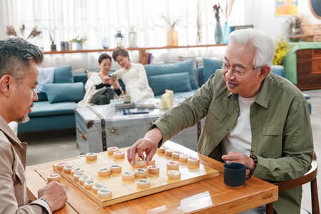 快乐的中老年生活摄影照片_快乐的老年人下象棋