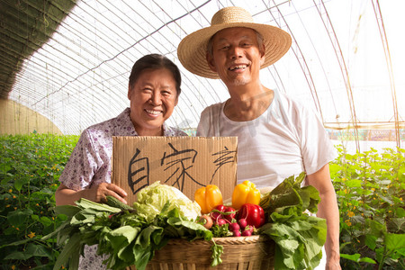 农民夫妇出示自家蔬菜