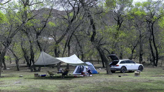 夏季户外露营上午露营帐篷夏季素材摄影图配图