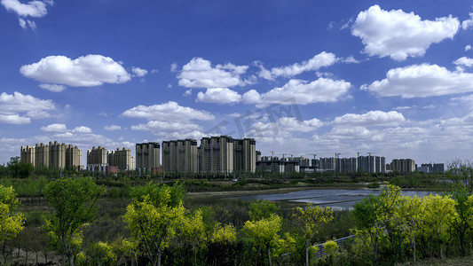 城市楼群树木湖水上午植物楼群夏季素材摄影图配图