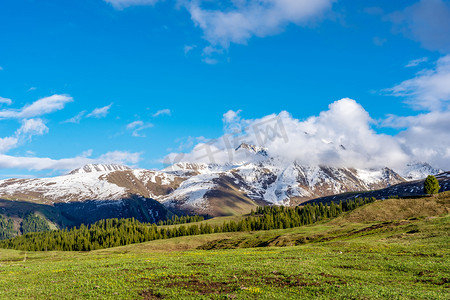 卡通草地png摄影照片_新疆伊犁唐布拉仙女湖草原雪山摄影图配图