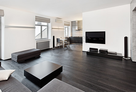 厨房油烟机摄影照片_黑色和白色色调的现代简约风格客厅室内