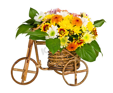 通用海报摄影照片_用鲜花装饰自行车花瓶