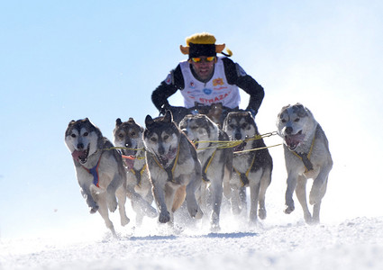 优秀团队易拉宝摄影照片_主人在冬天躲在雪橇在雪地上拉雪橇狗赛跑