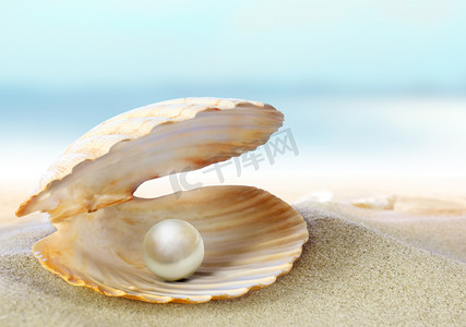 海蚌摄影照片_壳的一颗明珠