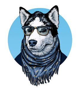 创意卡通狗摄影照片_沙哑的戴着眼镜和颜色围巾与绘图.
