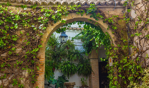 典型的安达卢西亚庭院装饰着鲜花拱门和 c