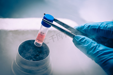 科学家与干细胞悬浮在液体氮银行工作.