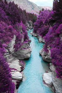 paraiso摄影照片_紫色森林和蓝流