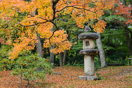 龙眼鸡摄影照片_在日式花园初秋奈良，日本传统石灯笼