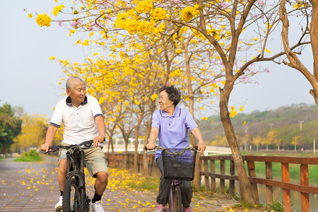 幸福的亚洲高级夫妇骑着自行车在公园里