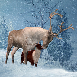 冬天冬季卡通摄影照片_驯鹿和小鹿冬季贺卡