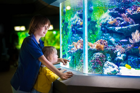孩子们看在水族馆的鱼