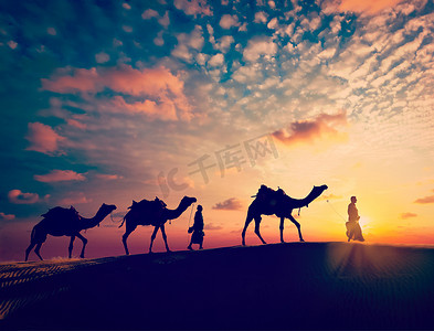 两个驼驼司机与骆驼在沙丘