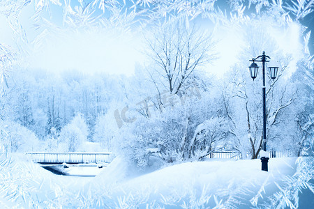 冬天背景，景观。冬季仙境里的树。冬天的场景。圣诞，新年背景