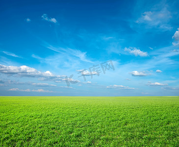 绿油油的草地摄影照片_蓝天下绿油油的草地