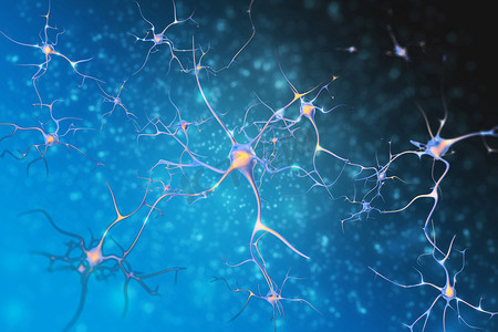 神经元的中枢神经系统细胞.