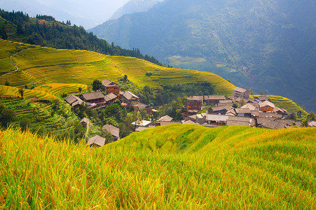 龙胜梯田 农村风景农业乡村振兴