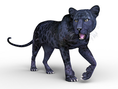 3d cg 渲染的黑豹