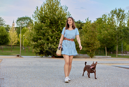 法老摄影照片_穿着蓝色衣服的年轻漂亮的、快乐的黑发女孩和她的狗在一个城市公园里散步。法老的狗在外面散步 . 