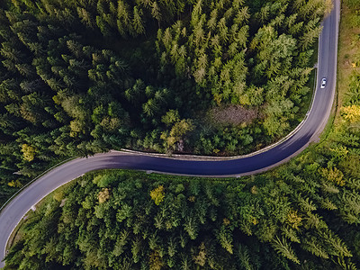 穿过松树林的弯曲山路的空中俯瞰.