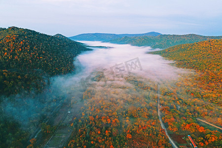 淘宝手机首页端模板摄影照片_秋天2017年9月22日, 在中国东北吉林省长白山保护区, 鸟的景色显示了森林中五颜六色的树叶的秋景