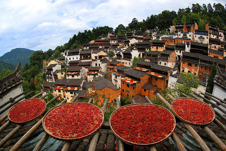 展板2018摄影照片_Hot peppers, corns, chrysanthemum flowers, and other crops and harvests are dried on roofs and racks under the sun in Huangling village, Wuyuan county, Shangrao city, east China's Jiangxi province, 16 September 2018